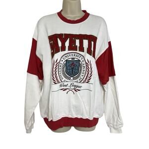 BDG Urban Outfitters Fayette College Colorblock Oversized Sweatshirt Size S